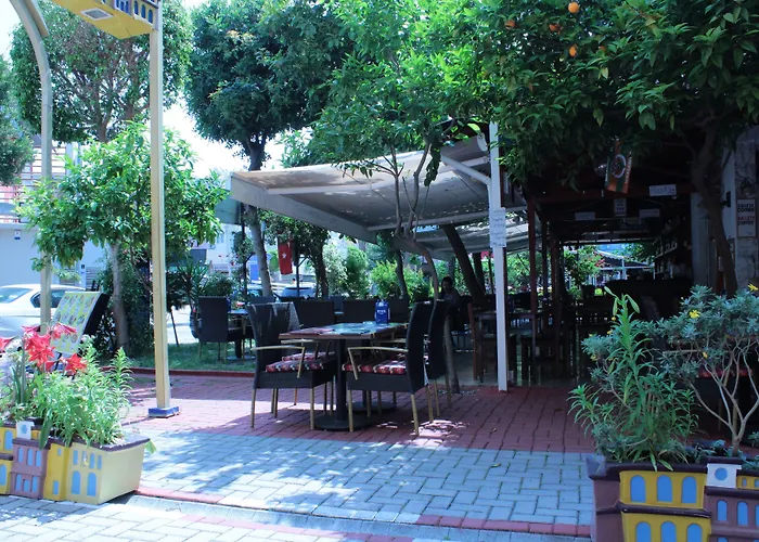 Mola Hotell 3*